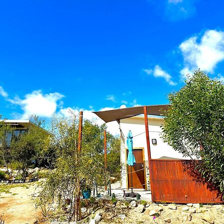 Oasis 444 Hotel San Marcos  Eksteriør billede